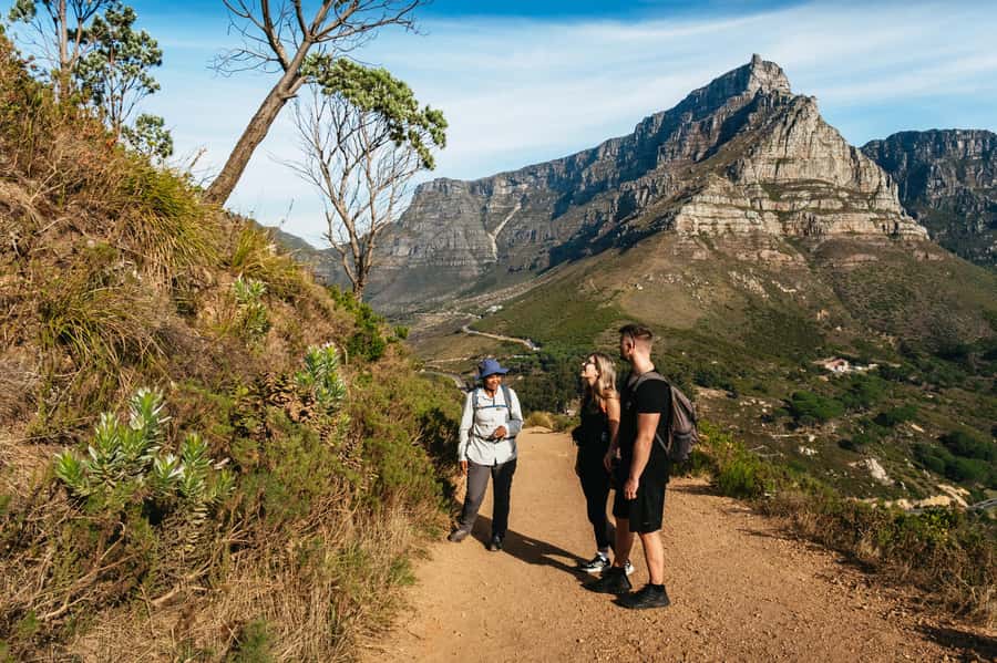 Cape Town: Guided Lion's Head Hike at Sunrise or Sunset - What you’ll see as you climb, from Signal Hill to the 360-degree top