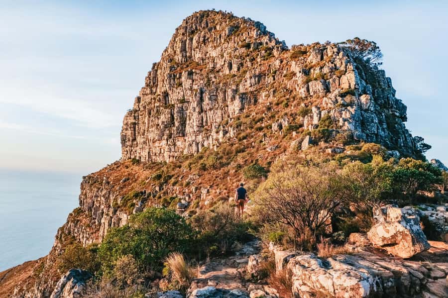 Cape Town: Guided Lion's Head Hike at Sunrise or Sunset - The top break: coffee, snacks, and local sweet treats