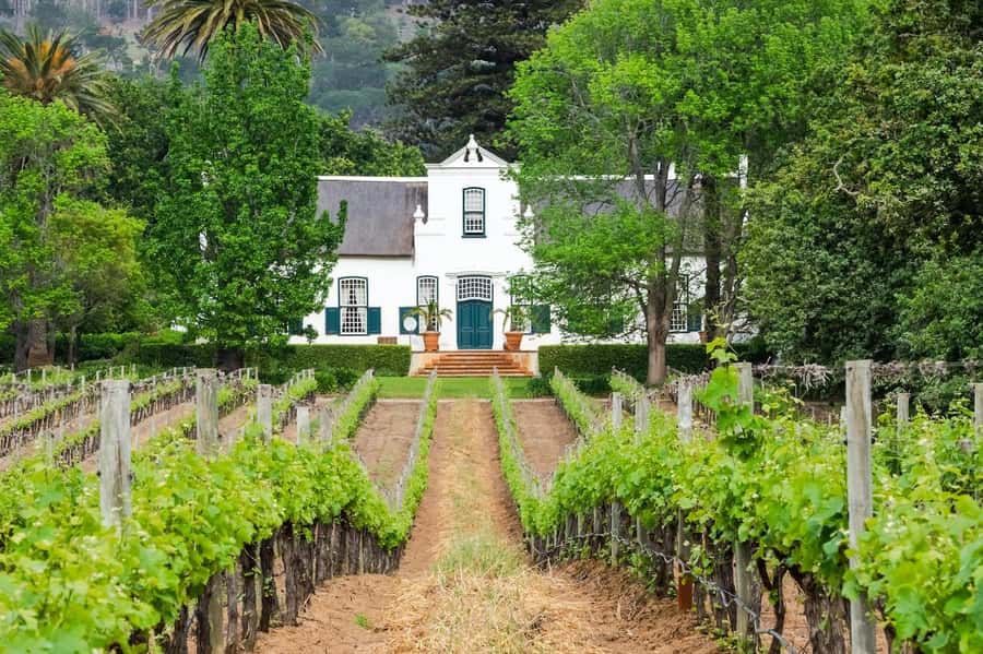 Cape Town: Guided Winelands Tour & Tasting in Stellenbosch - Key highlights worth your attention