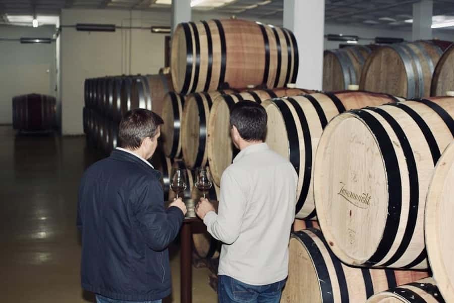Cape Town: Guided Winelands Tour & Tasting in Stellenbosch - The hidden benefit: you learn to taste with context, not just preference