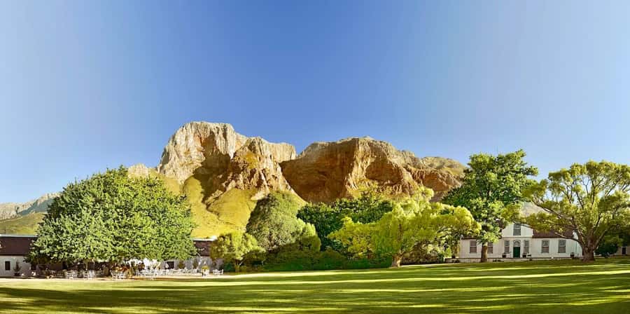 Cape Town: Guided Winelands Tour & Tasting in Stellenbosch - Who should book this tour, and who might skip it