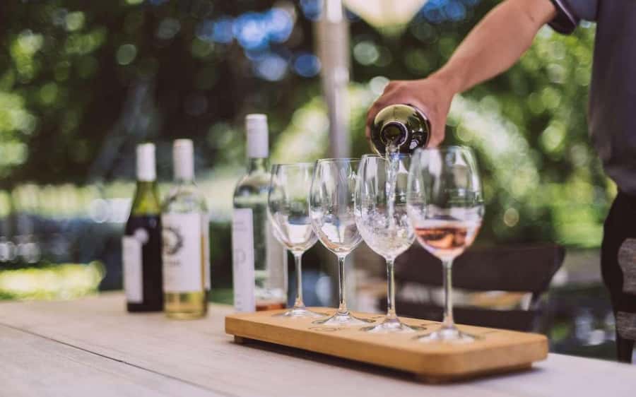 Cape Town: Guided Winelands Tour & Tasting in Stellenbosch - Cape Town pickup and the short “get there” phase