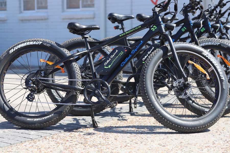 Cape Town: Half-Day e-Bike City Tour - Iziko South African Museum: a grounding stop before the ride gets scenic
