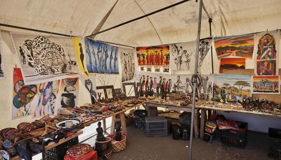 Cape Town: Half-Day Guided Township Tour - Price and time value for a 4-hour Cape Town outing