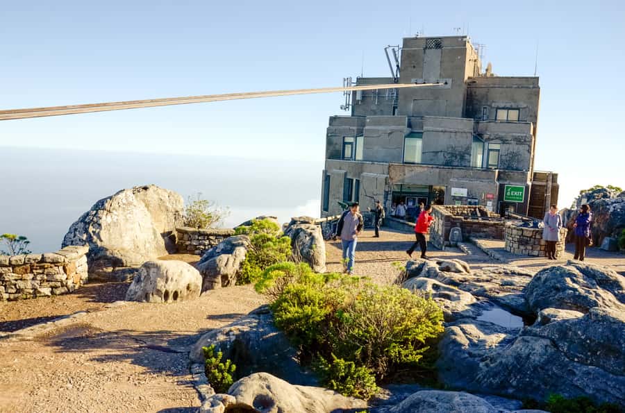 Cape Town: Half Day Table Mountain and Cape Town City Tour - Key highlights worth your attention