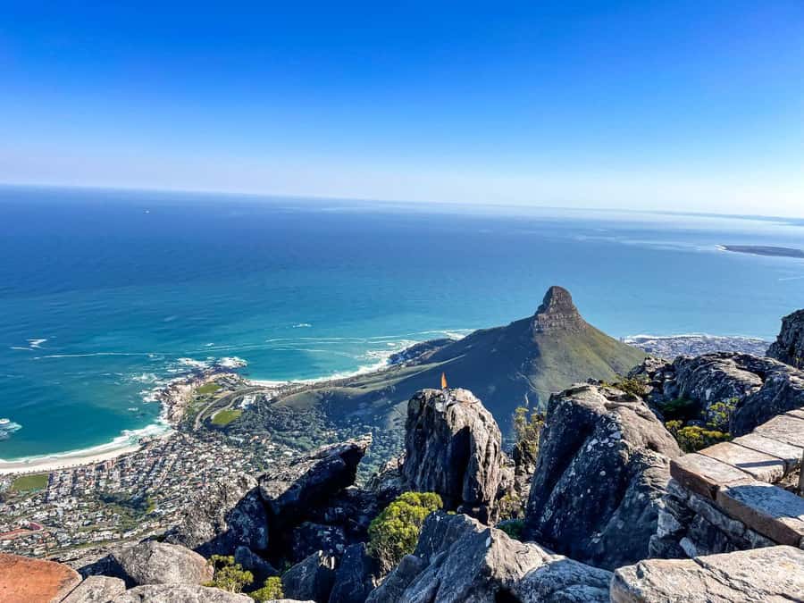 Cape Town: Half Day Table Mountain and Cape Town City Tour - City centre drive: Adderley Street, gardens, and the Castle of Good Hope