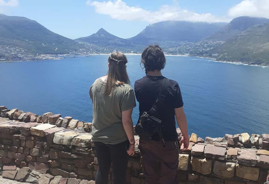 Cape Town: Halfday African Penguin tour - A half-day plan that mixes city color, cliffs, and real penguins