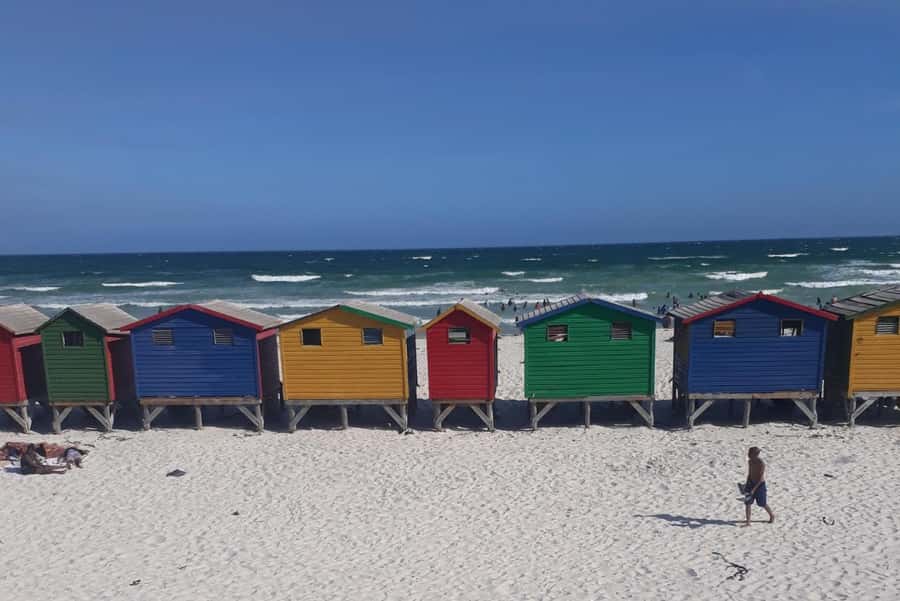 Cape Town: Halfday African Penguin tour - Noordhoek coffee break, a calm coast pause that keeps the day human