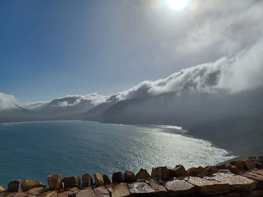 Cape Town: Halfday African Penguin tour - Price and value, what $77 covers and what can add up