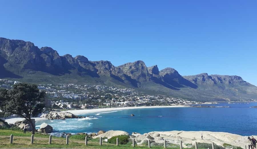 Cape Town: Halfday African Penguin tour - Bo-Kaap photo stop, the colorful streets start your day right