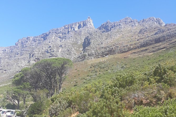 Cape Town Halfday City and Table Mountain Tour - The city-drive section: landmark spotting without walking for hours