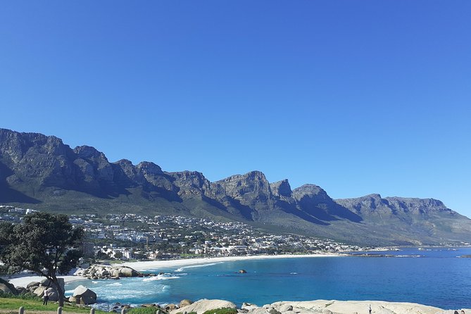 Cape Town Halfday City and Table Mountain Tour - Signal Hill: the framed Table Mountain view and why paragliders make it special