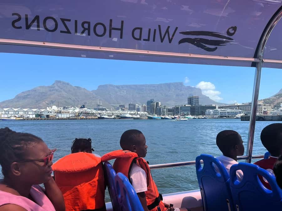 Cape Town: Harbor Cruise - Duration and Timing: Why 30 Minutes Works