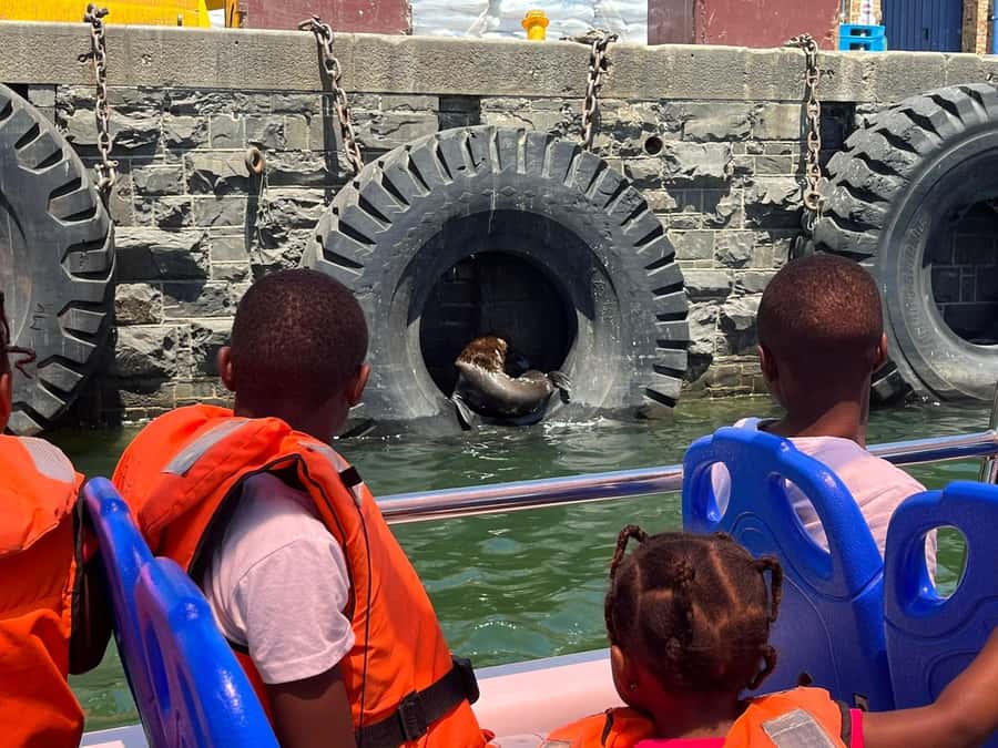 Cape Town: Harbor Cruise - Price and Value: What $7 Buys You in Cape Town