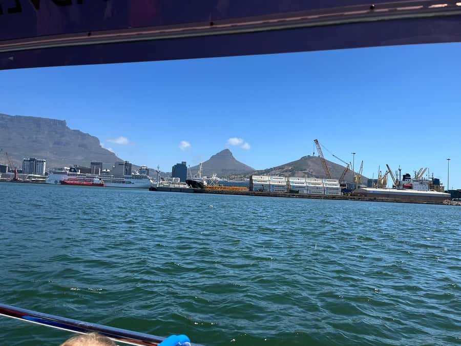 Cape Town: Harbor Cruise - Meeting Wild Horizons and Getting On the Dawn Boat