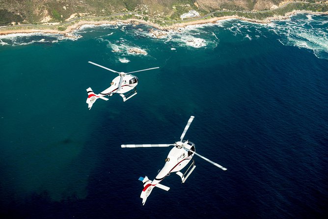 Cape Town Helicopter Tour: Atlantic Coast - Cape Town Stadium, Signal Hill, and Lion’s Head cues for orientation