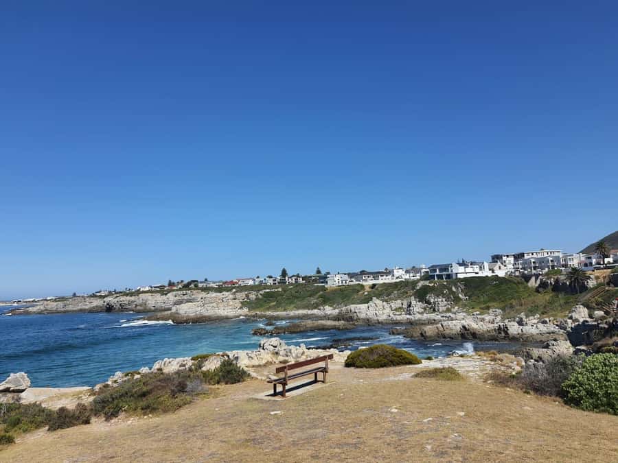Cape Town: Hermanus Whale Watching Shared Boat & Penguins - The whale-watching boat: 2 to 3 hours of searching, with stops when they appear