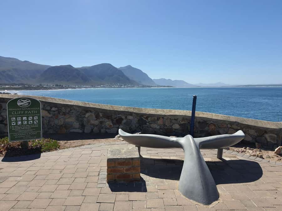 Cape Town: Hermanus Whale Watching Shared Boat & Penguins - Cape Town pickup, the Whale Coast drive, and the pre-boat briefing