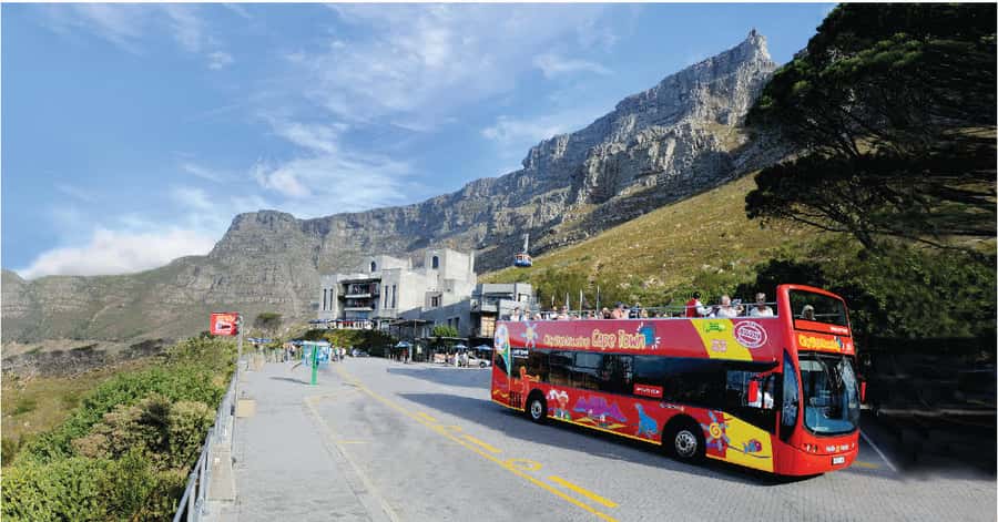 Cape Town: Hop-On Hop-Off Bus Tour with Optional Cruise - Routes That Make Sense: Red, Blue, and the 30-Minute Purple Wine Loop