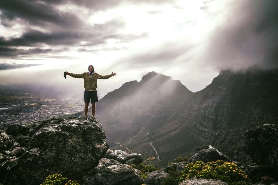 Cape Town: India Venster Half-Day Hike on Table Mountain - Key Highlights You’ll Feel in Your Legs and Your Camera Roll