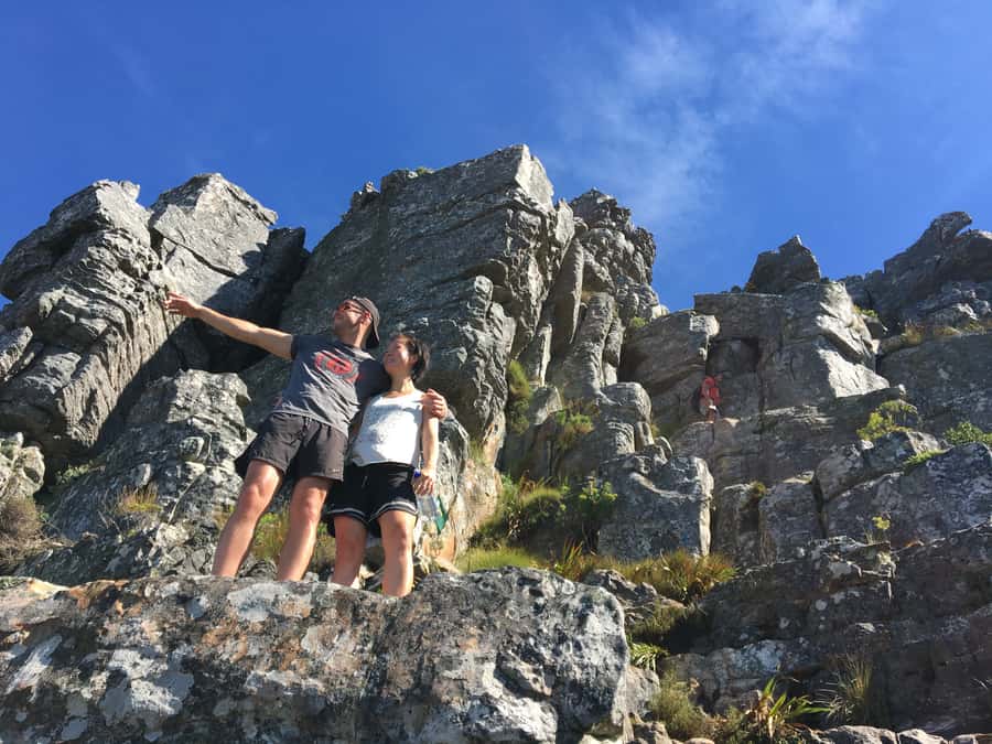 Cape Town: India Venster Half-Day Hike on Table Mountain - Transport and Group Size: Why Small Feels Better Here