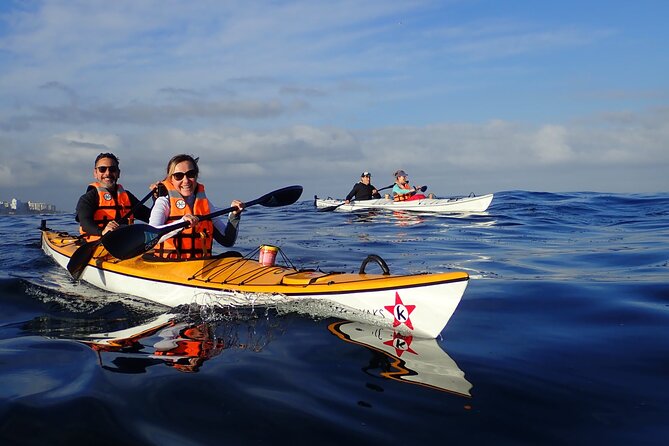 Cape Town Kayak Adventure in Table Mountain Marine Reserve - Why this Cape Town kayak ride feels different from the shore