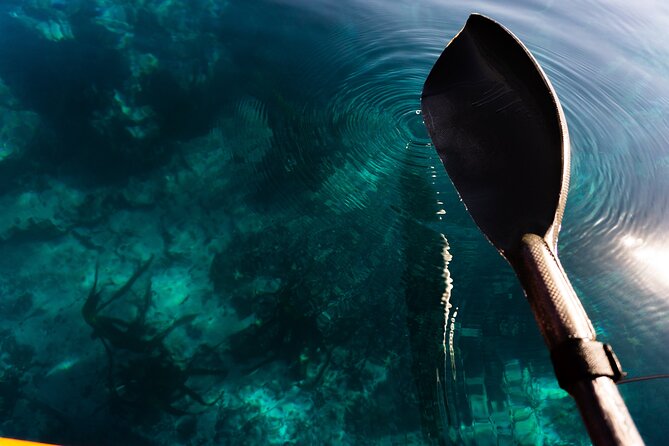 Cape Town Kayak Adventure in Table Mountain Marine Reserve - Your 2-hour flow: training, then a short coast paddle