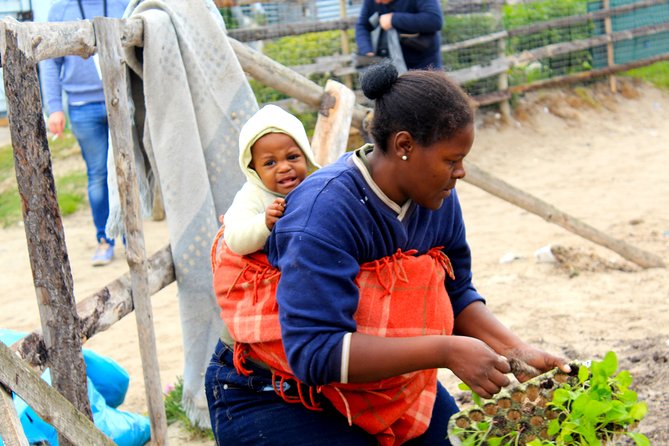 Cape Town Khayelitsha Township Tour - Optional volunteering and mural painting: contributing without taking over