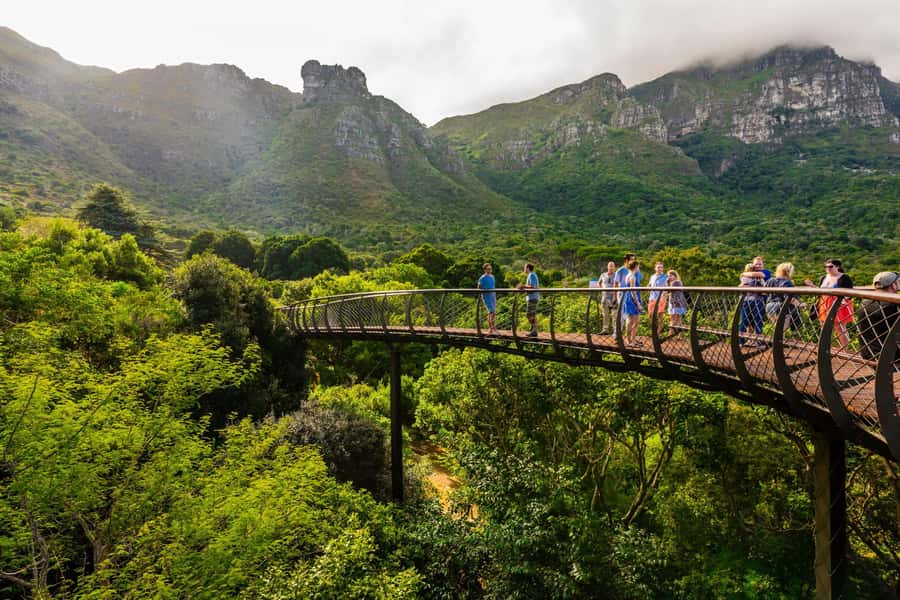 Cape Town: Kirstenbosch Botanical Garden Entry Ticket - Key Things to Know Before You Go to Kirstenbosch