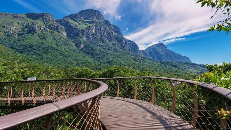 Cape Town: Kirstenbosch Botanical Garden Entry Ticket - The Garden Sections That Make Kirstenbosch Feel Like a Guided Ecosystem