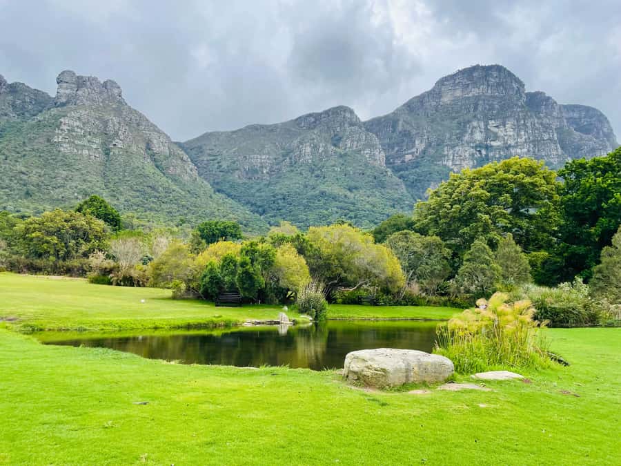 Cape Town: Kirstenbosch Botanical Garden Entry Ticket - How Long to Plan and When to Go for the Best Flow