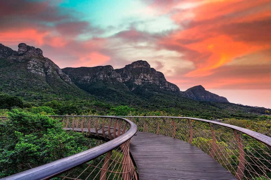 Cape Town: Kirstenbosch Botanical Garden Entry Ticket - Price and Value: Is This $34 Ticket a Smart Buy?