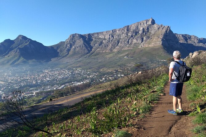 Cape Town: Lion's Head Hike - Timing: Why Sunrise Planning Works So Well