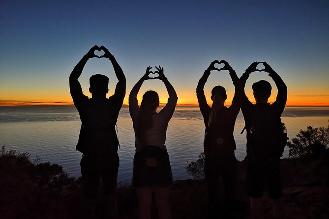 Cape Town: Lion's Head Sunset Hike - Why the professional guide is the real value