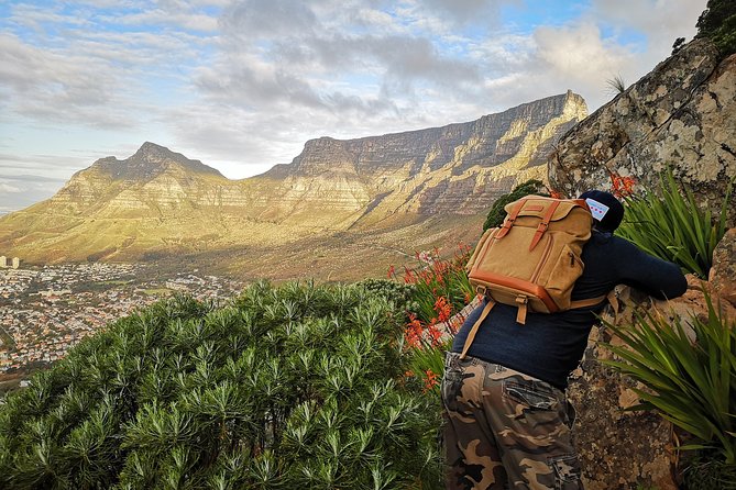 Cape Town: Lion's Head Sunset Hike - Pricing and value: is $94.90 a fair deal?