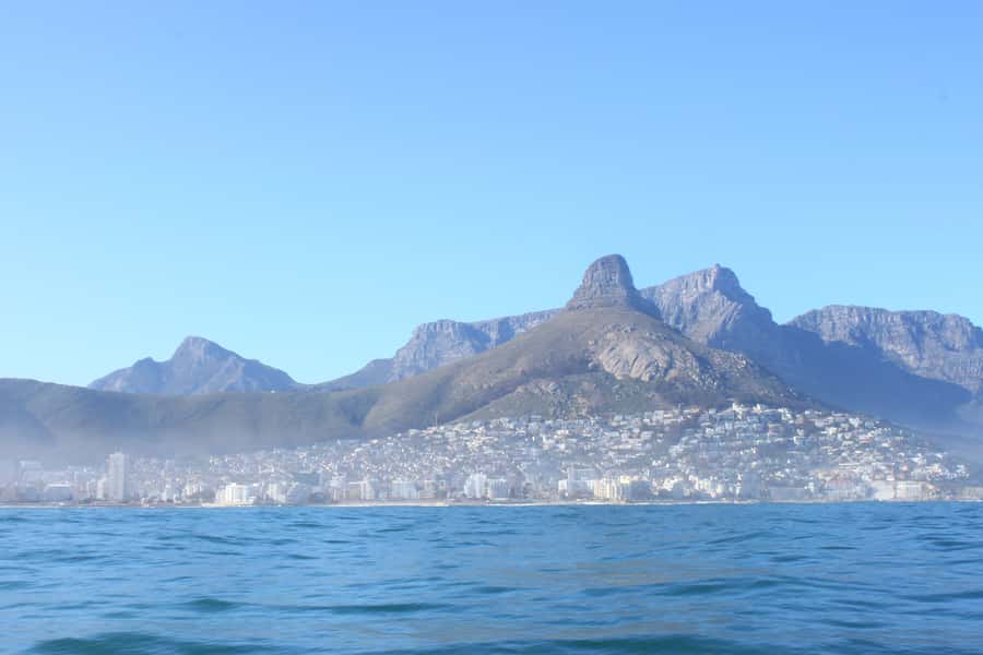 Cape Town: Marine Big 5 Ocean Safari from V&A Waterfront - How spotting works on a moving catamaran