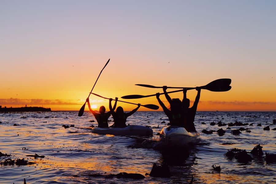 Cape Town: Marine Life Kayak Tour From the V&A Waterfront - The Table Mountain finish and the photo moment that makes it feel complete