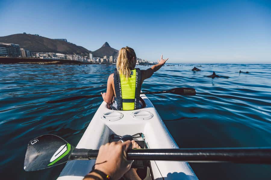 Cape Town: Marine Life Kayak Tour From the V&A Waterfront - Price and value: is $37 for 2 hours worth it?