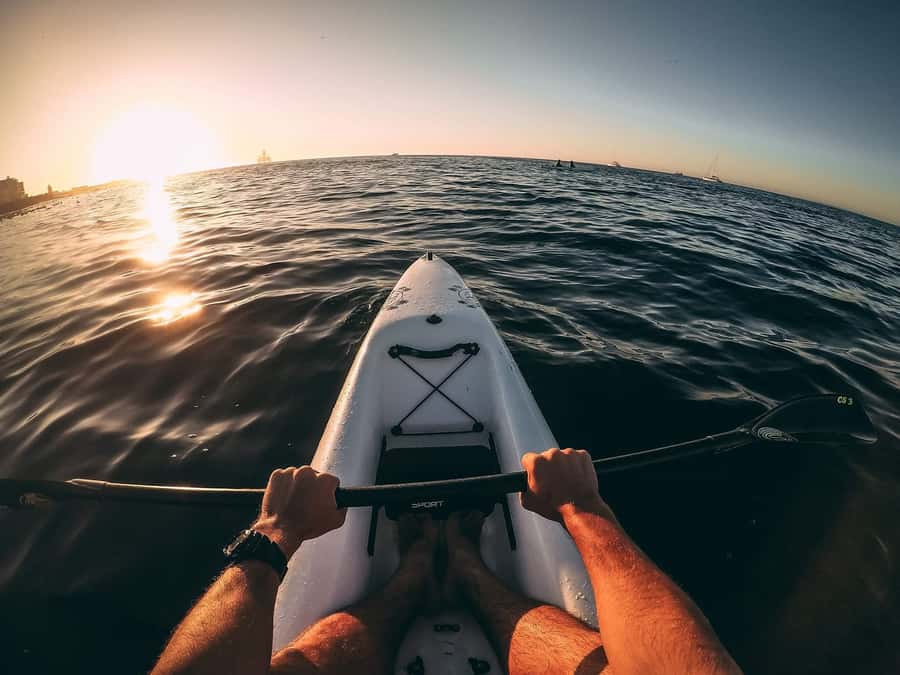 Cape Town: Marine Life Kayak Tour From the V&A Waterfront - Who this tour fits best, and who might want a different plan