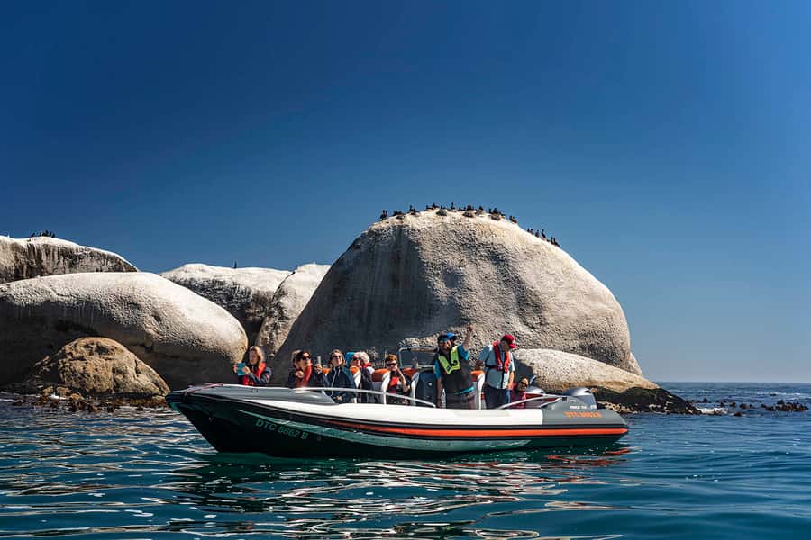 Cape Town: Marine Wildlife Tour from the V&A Waterfront - Boarding a hydrofoil, and what that means for your experience