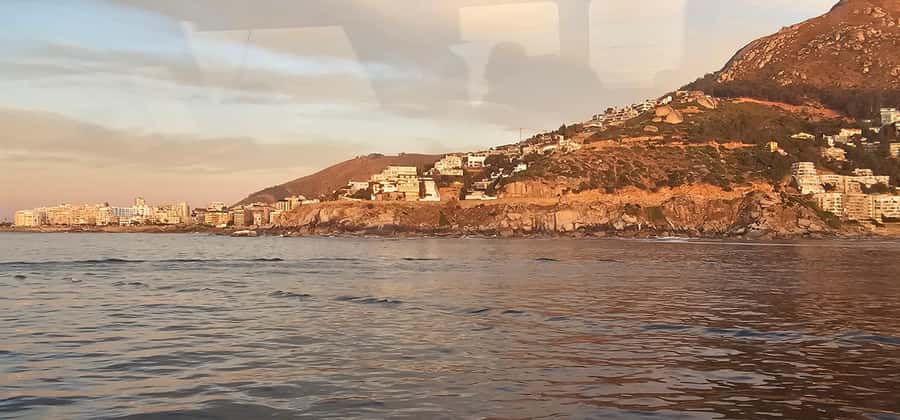 Cape Town: Ocean Safari 1 Hour - Key things I’d watch for