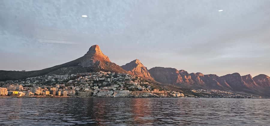 Cape Town: Ocean Safari 1 Hour - What to Bring for a Smooth, Enjoyable Ride