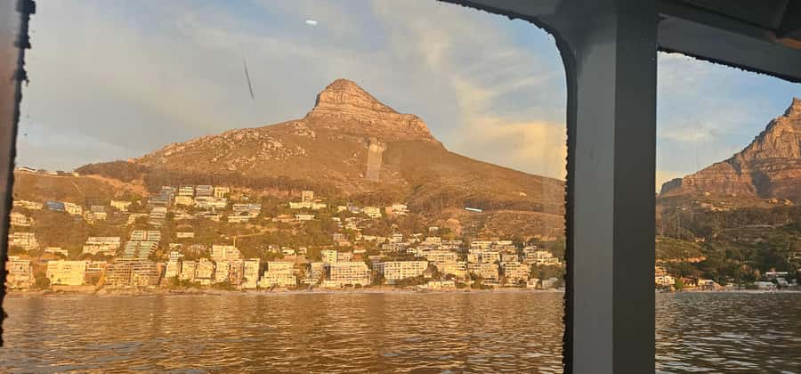 Cape Town: Ocean Safari 1 Hour - One Hour, Big Views: V&A Waterfront to the Atlantic