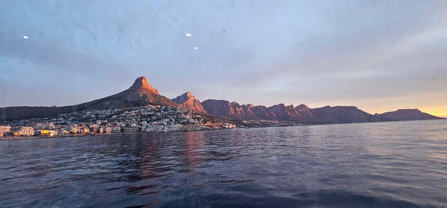 Cape Town: Ocean Safari 1 Hour - Table Mountain as Your Backdrop: Why the Views Matter