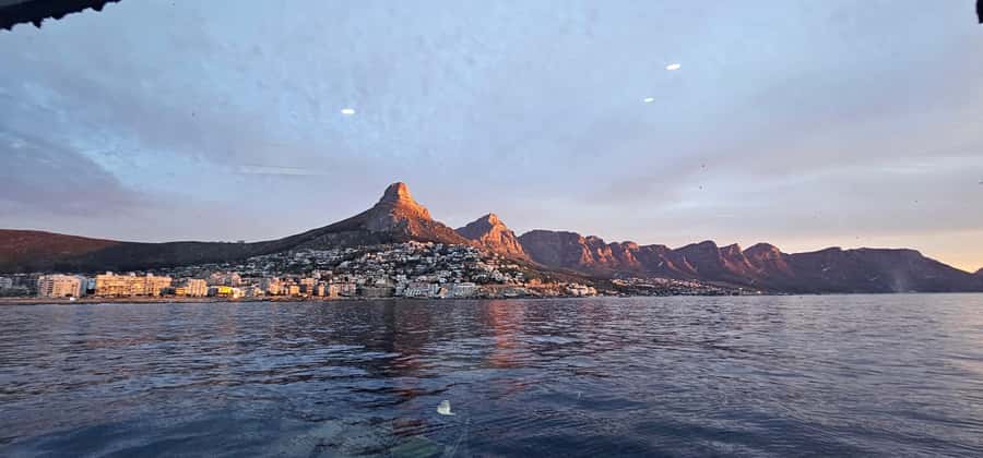 Cape Town: Ocean Safari 1 Hour - The Guide Experience: Marine Facts You’ll Actually Use