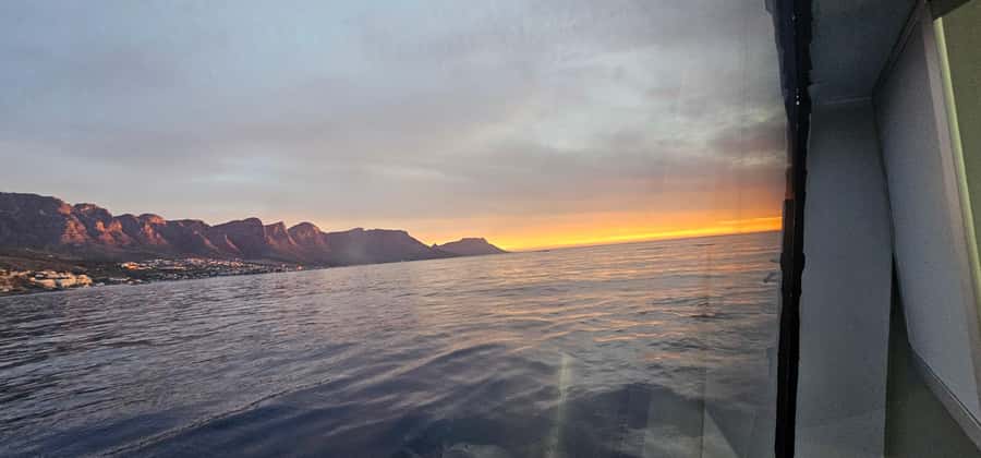 Cape Town: Ocean Safari 1 Hour - Price and Value: Is $62 Worth It?