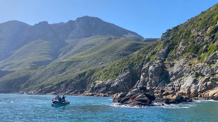 Cape Town: Ocean Safari in Hout Bay - Price and value: what you get for around $186 per person