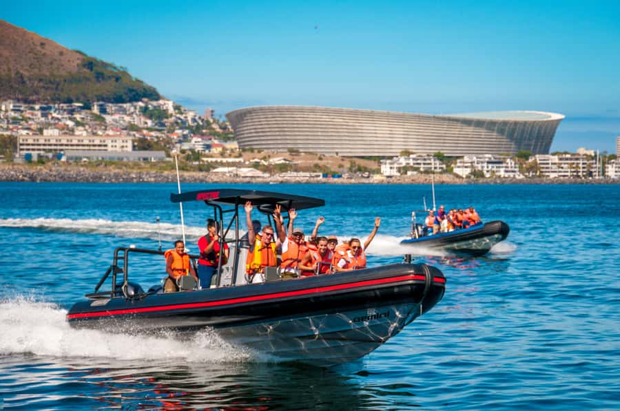 Cape Town Ocean Safari: Speed Boat Adventure in Table Bay - Table Bay Speedboat Safari: What the Hour Actually Feels Like