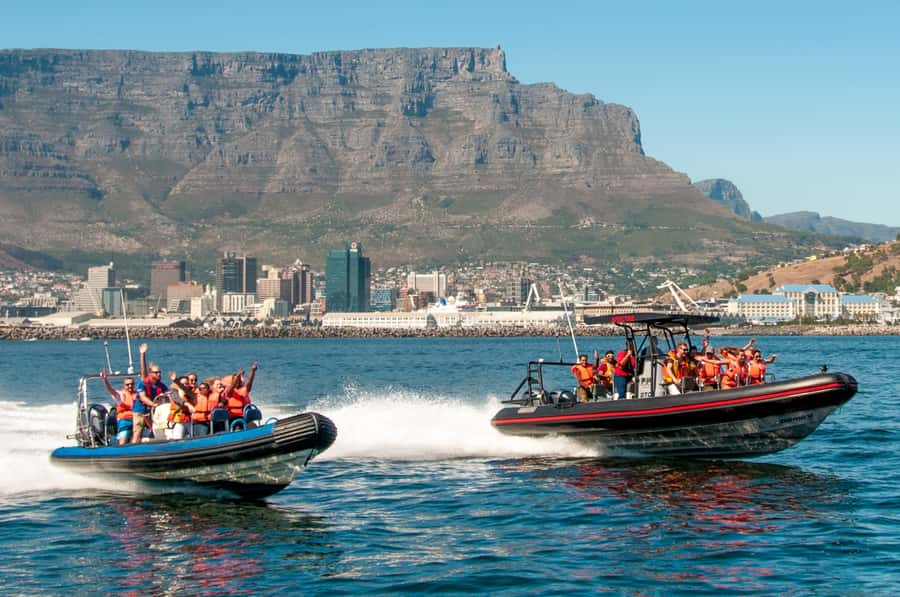 Cape Town Ocean Safari: Speed Boat Adventure in Table Bay - Getting There at V&A Waterfront, Quay 5, and Check-in Timing That Matters