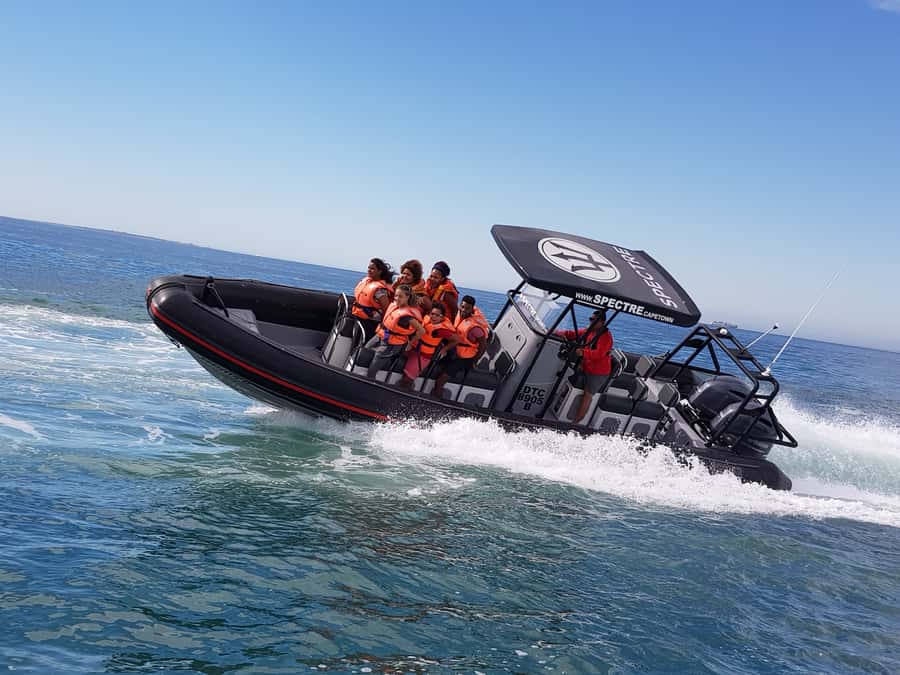 Cape Town Ocean Safari: Speed Boat Adventure in Table Bay - The Big Views on the Water: Table Mountain, Signal Hill, Clifton, and More